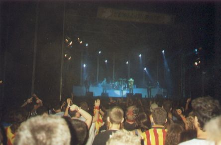 Un dels concerts més multitudinaris va ser el dels vendrellencs Lax'n'Busto. En aquesta foto s'intueix el Pemi amb un barret de palla que li van llençar des del públic.